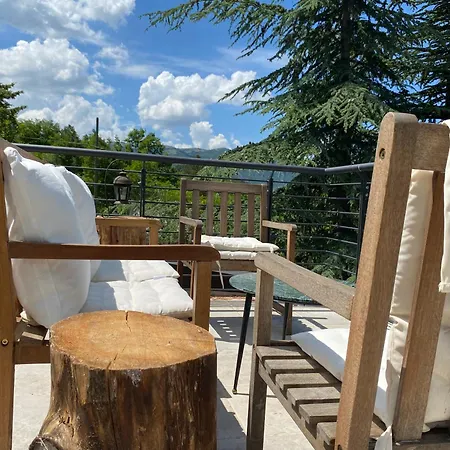 Xenia Guest house 3*